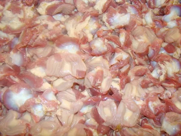 Frozen chicken gizzards, Poland naked block 2