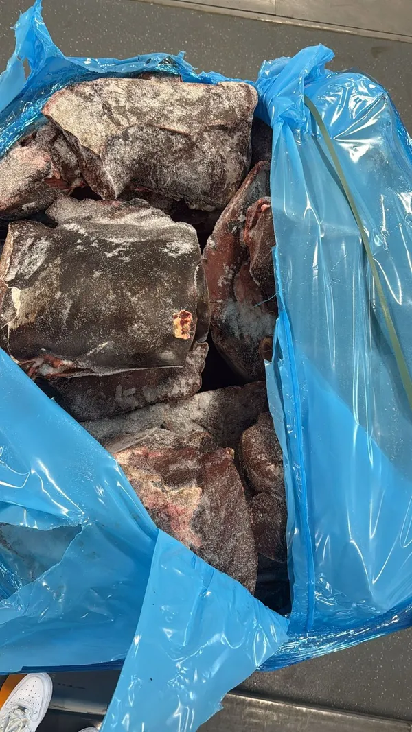 Frozen beef liver 2