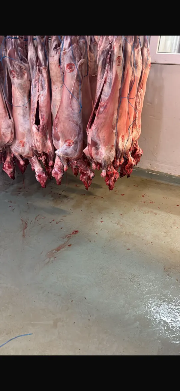 Halal goat with head and innards 4
