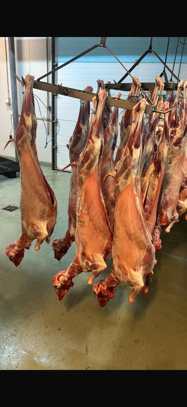 Halal goat with head and innards 5