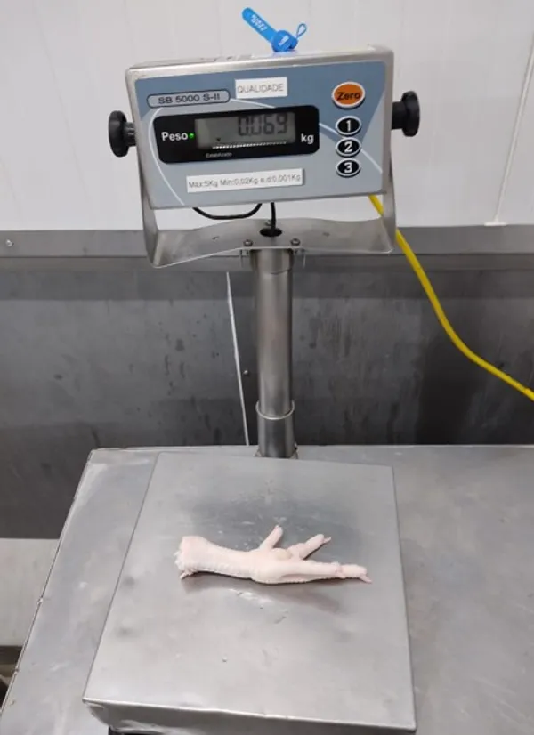 Brazilian Frozen Chicken feet 35g+ 4