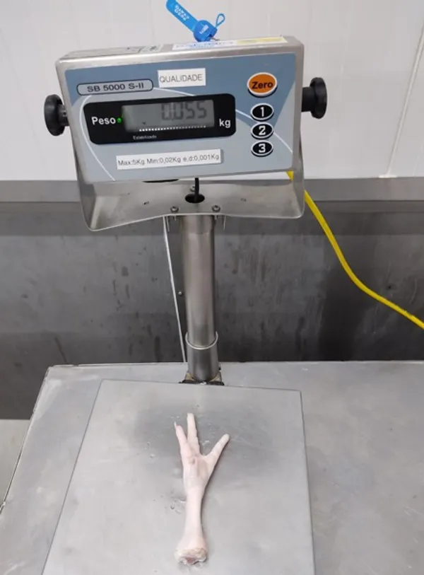 Brazilian Frozen Chicken feet 35g+ 5