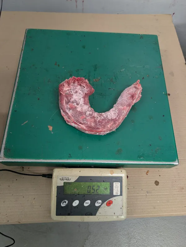 Frozen turkey necks (male) 500-700g 3