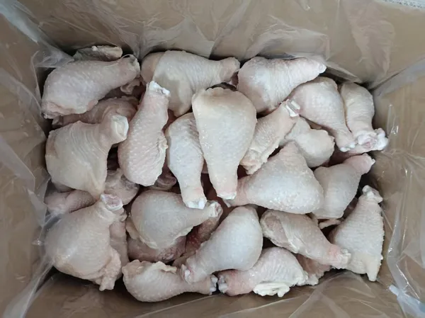 Chicken Drumstick