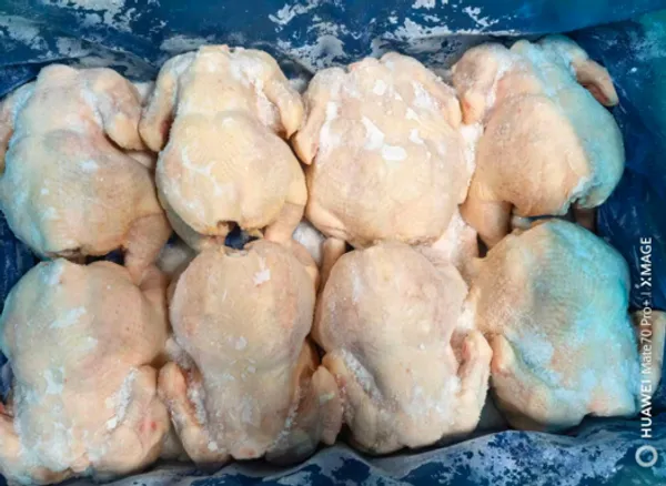 Whole chicken 2