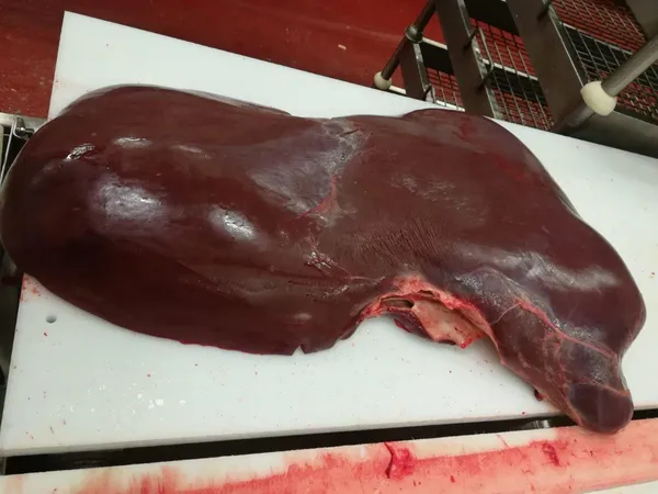 Frozen beef liver