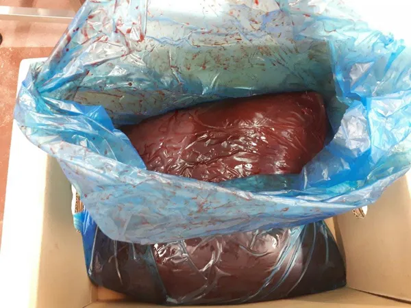 Frozen beef liver 5