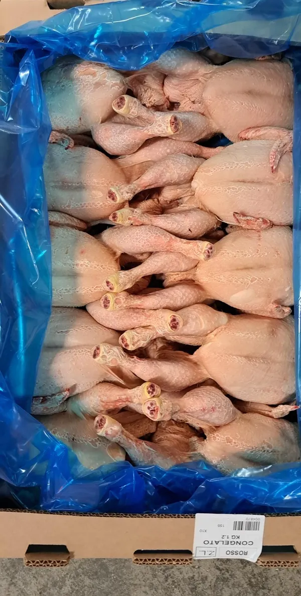 frozen Chicken