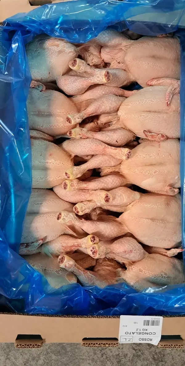 frozen Chicken
