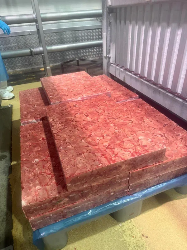 Frozen chicken liver 5