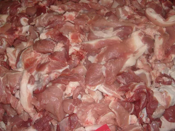 Frozen pork trimming 80/20 2