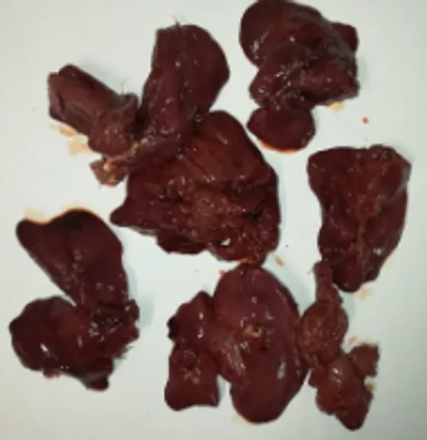 Chicken liver 2