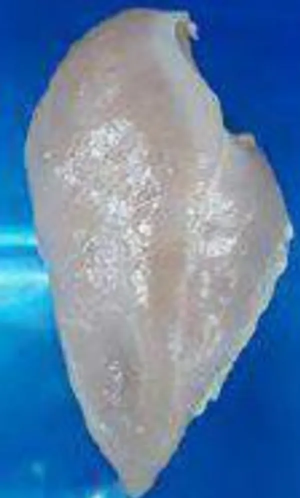 Chicken fillet w/o inner 3