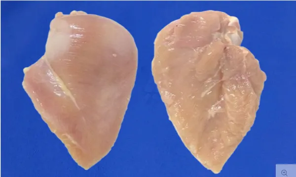 Chicken fillet w/o inner 2