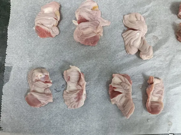 Chicken gizzards 6