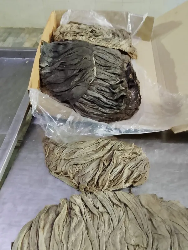 Dry Salted Beef Omasum 2