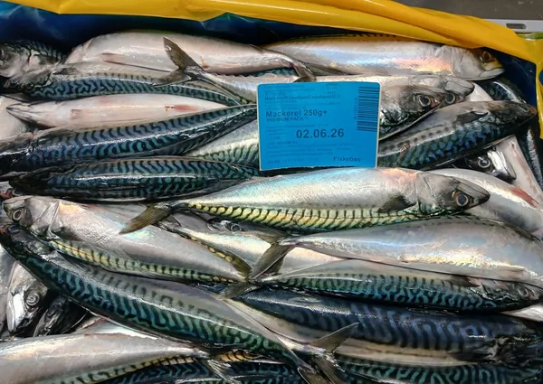 Frozen Mackerel