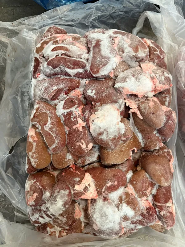 Pork kidneys