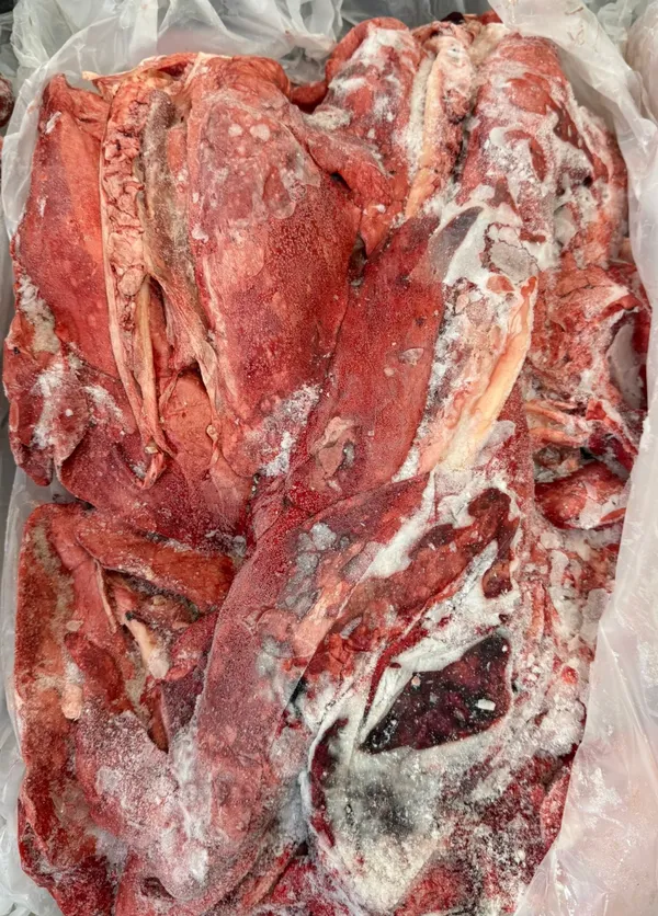 Frozen pork lungs