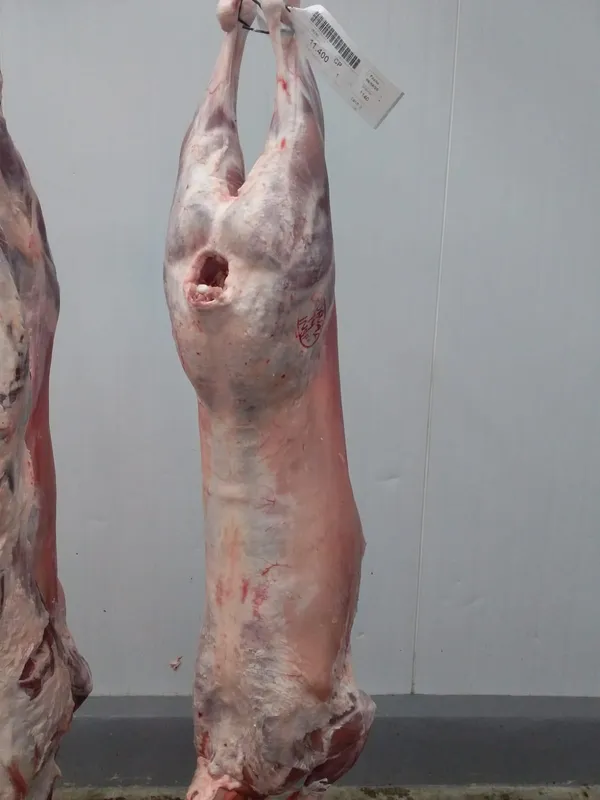 Frozen Whole Lamb Carcass 4