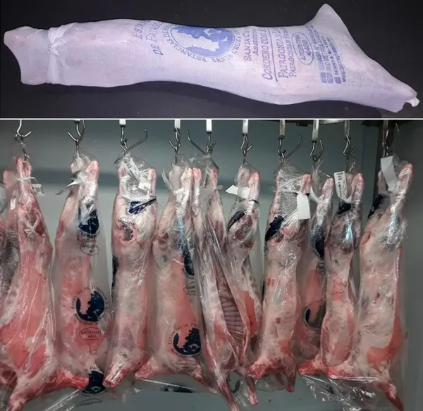 Frozen Whole Lamb Carcass 5