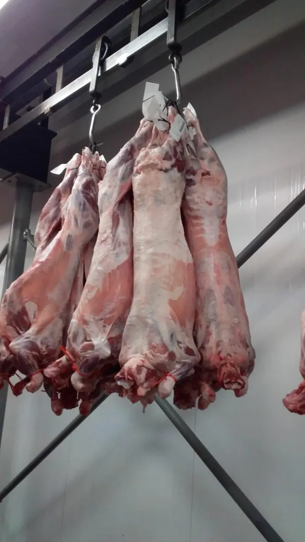 Frozen Whole Lamb Carcass 6