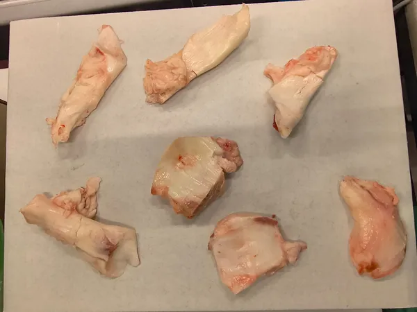 Frozen beef flank membrane 5