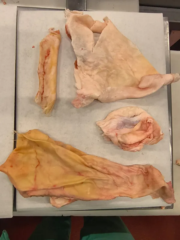 Frozen beef flank membrane 6