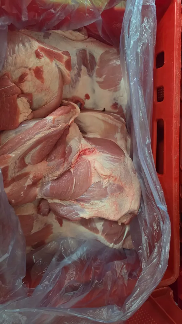 Frozen pork shoulder 4D
