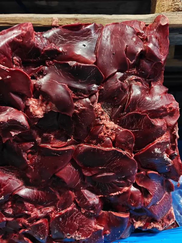 Frozen turkey liver 2