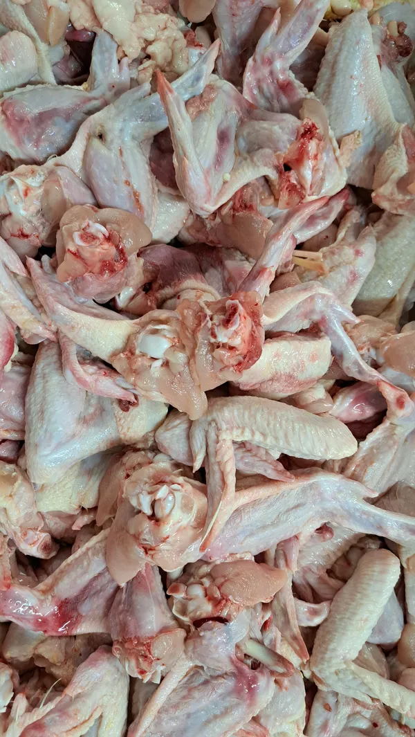 Frozen chicken wings B grade 3