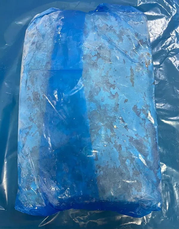 Frozen chicken skin from breast 2
