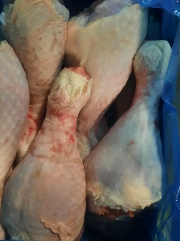 turkey drumstick MALE  2