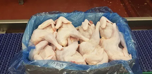 Whole light hen with neck – Class A