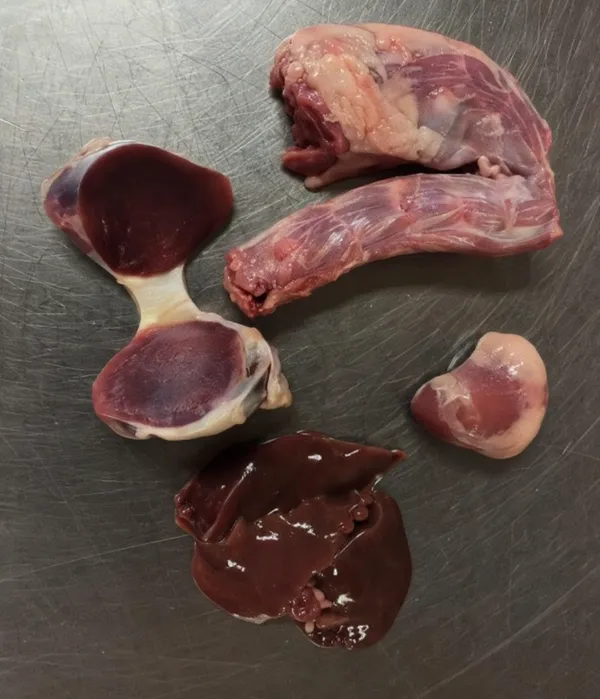 Eviscerated goose with giblets 2