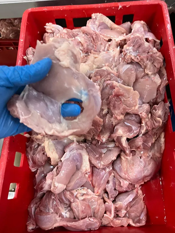 Frozen chicken leg meat skinless 2