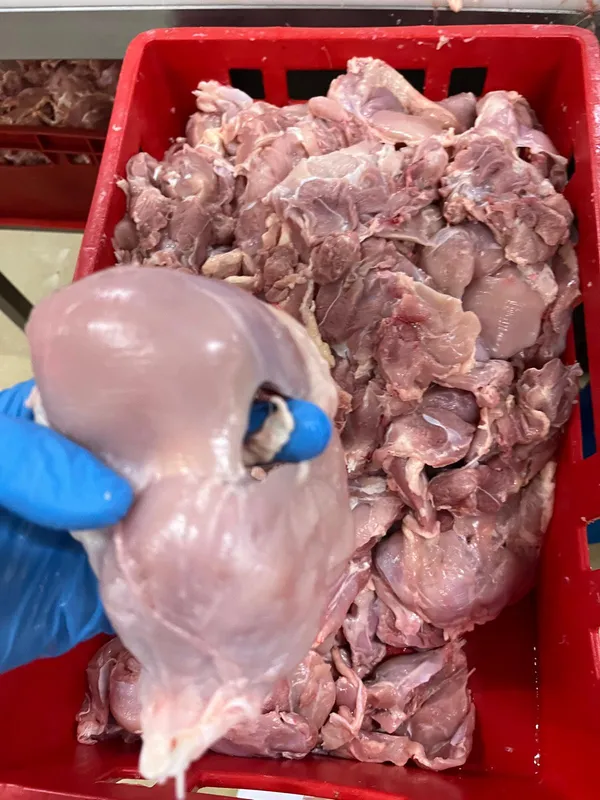 Frozen chicken leg meat skinless 4