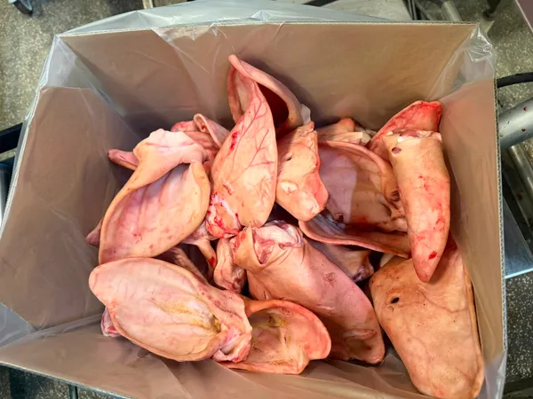 Pork whole ears in 10 kg cartons 2