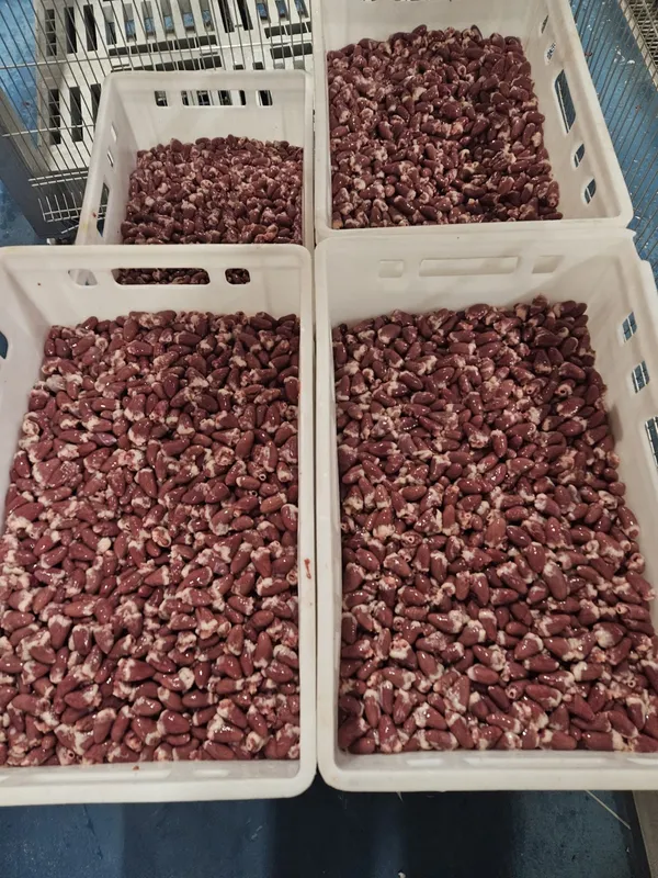 Frozen chicken hearts 2