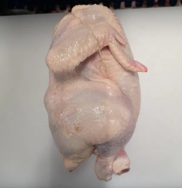 Frozen chicken grillers 900-1100 2