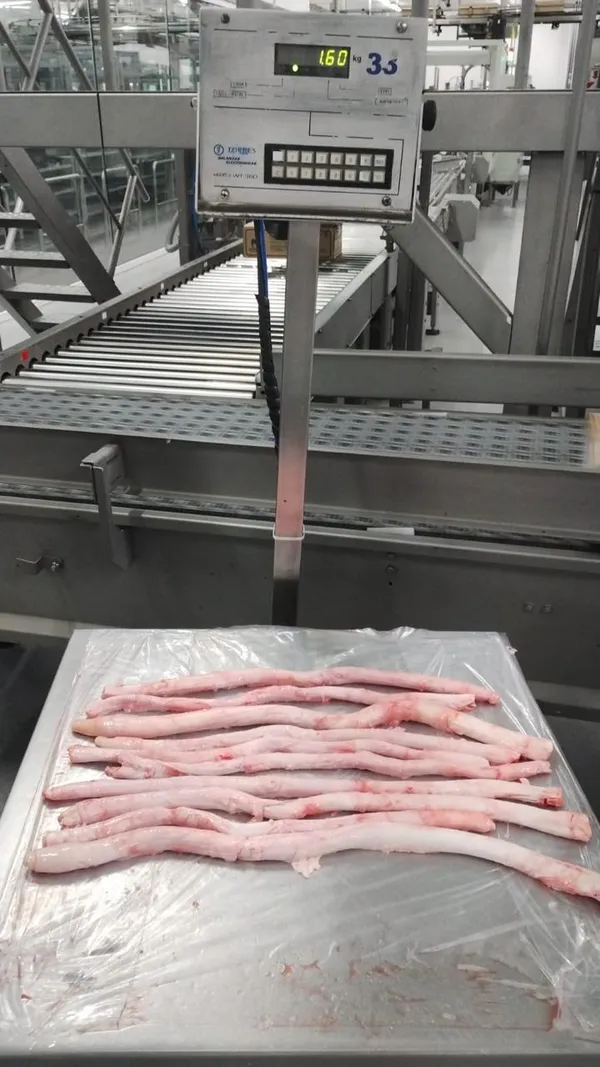 Beef Pizzels