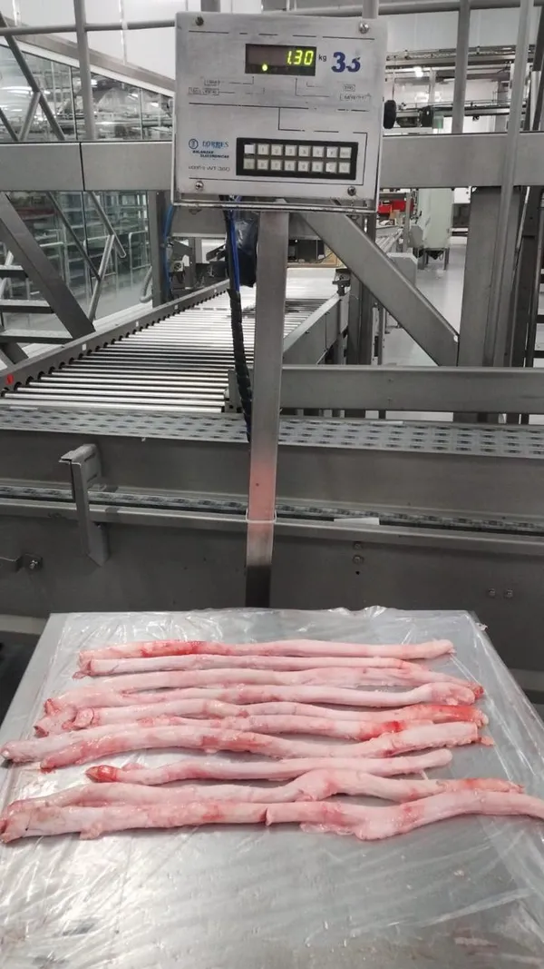 Beef Pizzels 2
