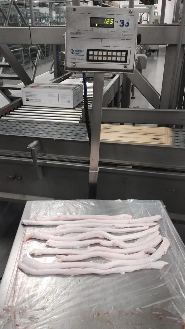 Beef Pizzels 4
