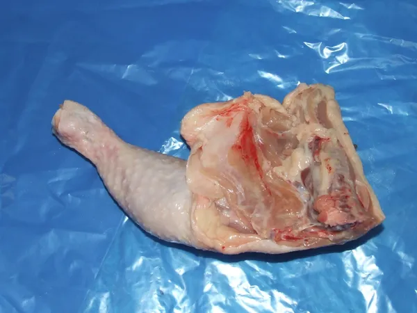 Chicken leg quarter A grade 2