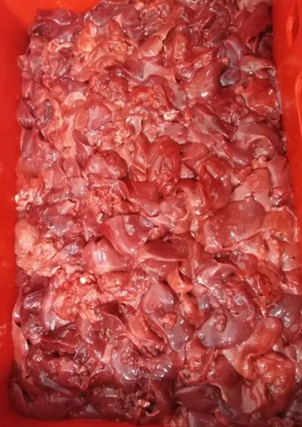 Chicken Livers 2