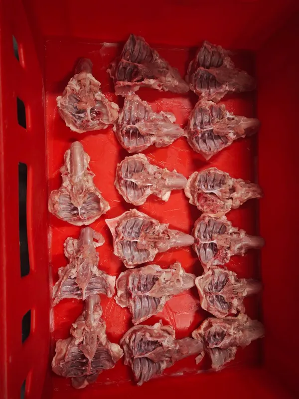 Chicken Upper Backs