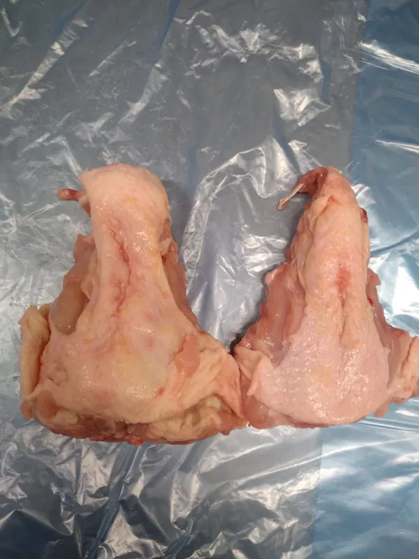 Chicken Upper Backs 2