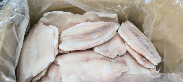 Frozen Tilapia fillets 140-200 g/pcs