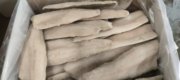Pike Perch fillets 120-170 g/pcs