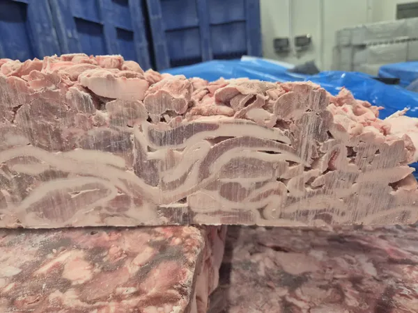 Pork frozen 80/20 naked block 5